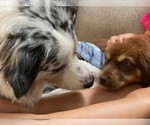 Small #21 Breeder Profile image