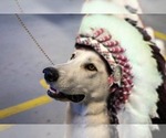 Small #10 Breeder Profile image