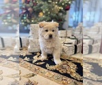 Small #10 Breeder Profile image
