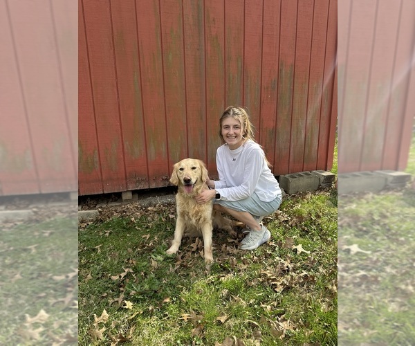 Medium Photo #1  Breeder Profile in NOBLESVILLE, IN, USA