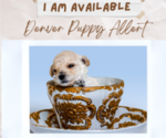 Small #3 Breeder Profile image