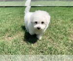 Small #4 Breeder Profile image