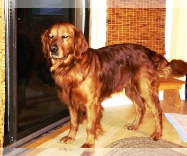 Medium Photo #2  Breeder Profile in LEON, KS, USA