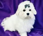Small #1 Breeder Profile image