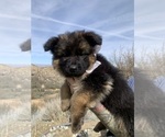 Small #142 Breeder Profile image