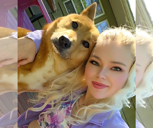 Medium Photo #1  Breeder Profile in OLATHE, KS, USA