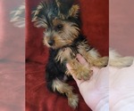 Small #129 Breeder Profile image