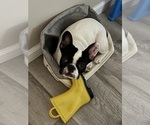 Small #5 Breeder Profile image