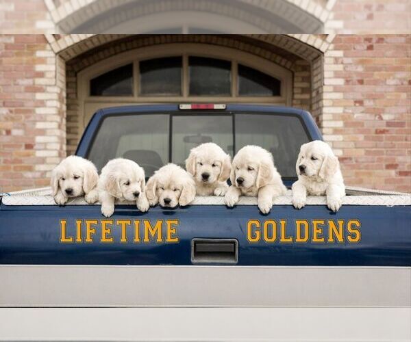 Medium Photo #1  Breeder Profile in PAYSON, UT, USA
