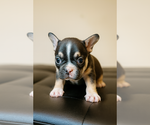 Small #7 Breeder Profile image