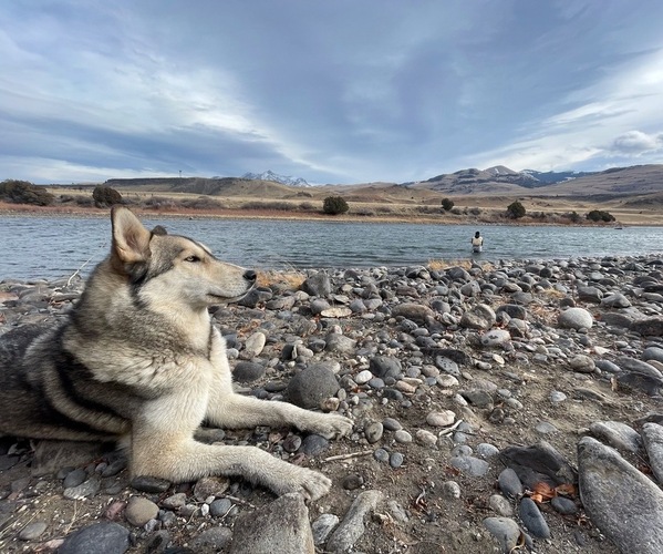 Medium Photo #1  Breeder Profile in BEND, OR, USA