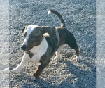 Small #28 Breeder Profile image