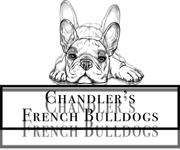 Medium Photo #1  Breeder Profile in CLARKSVILLE, TN, USA