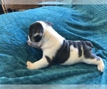 Small #24 Breeder Profile image