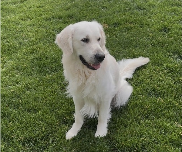 Medium Photo #3  Breeder Profile in SPOTSYLVANIA, VA, USA