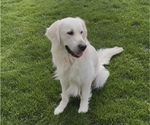 Small #2 Breeder Profile image