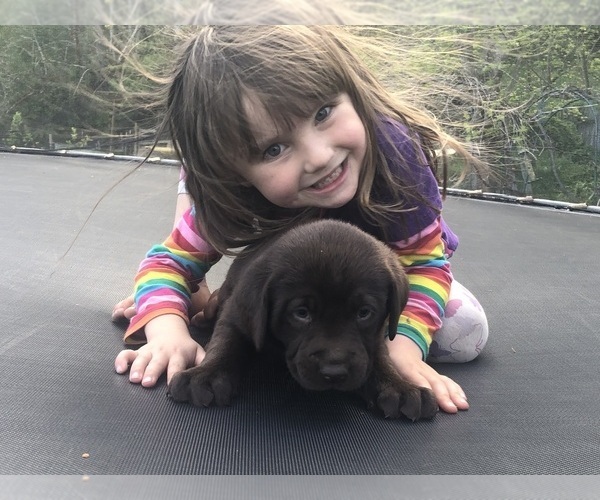 Medium Photo #4  Breeder Profile in ALDERPOINT, CA, USA