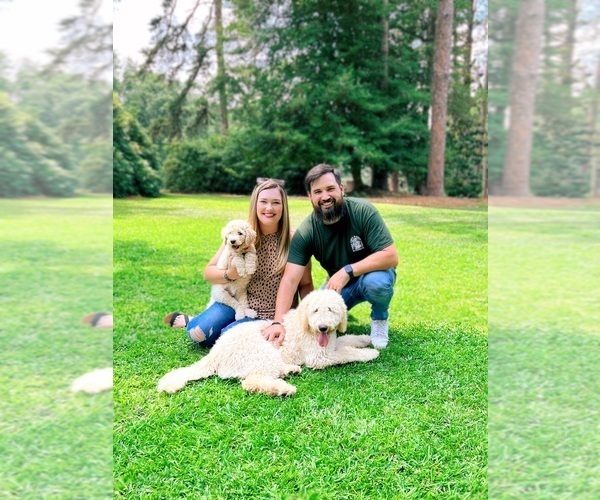 Medium Photo #2  Breeder Profile in PINEHURST, NC, USA