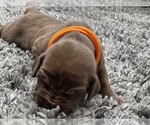 Small #27 Breeder Profile image