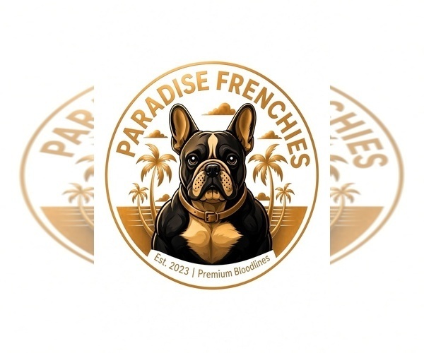 Medium Photo #1  Breeder Profile in AURORA, CO, USA