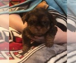 Small #15 Breeder Profile image