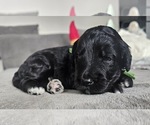 Small #3 Breeder Profile image