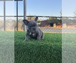 Small #5 Breeder Profile image