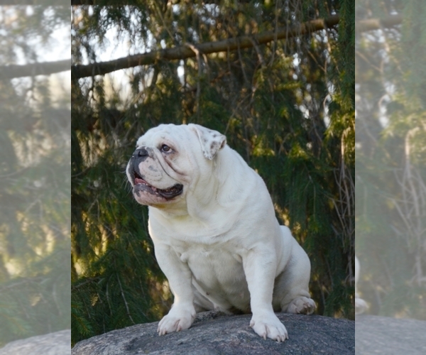 Medium Photo #1  Breeder Profile in Burlington, WI, USA