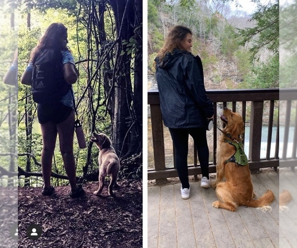 Medium Photo #1  Breeder Profile in KNOXVILLE, TN, USA