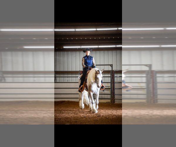 Medium Photo #12  Breeder Profile in SHERMAN, TX, USA