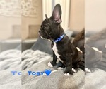 Small #11 Breeder Profile image