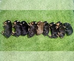 Small #9 Breeder Profile image