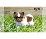 Small #4 Breeder Profile image