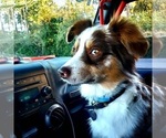 Small #4 Breeder Profile image
