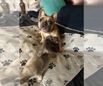Small #10 Breeder Profile image