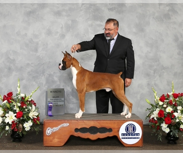 Medium Photo #2  Breeder Profile in CLEVELAND, TX, USA