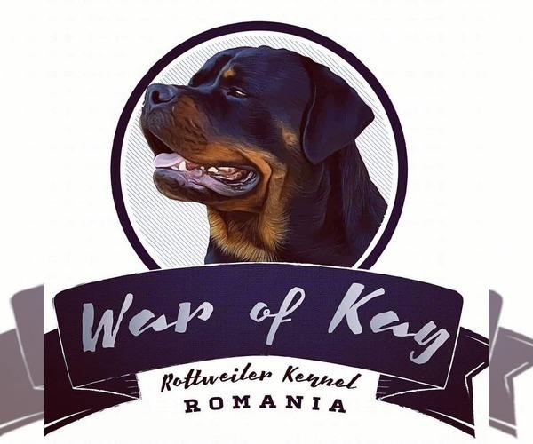 Medium Photo #1  Breeder Profile in Bucharest, Bucuresti, Romainia