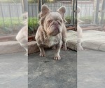 Small #28 Breeder Profile image
