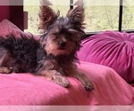 Small #13 Breeder Profile image