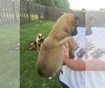 Small #19 Breeder Profile image