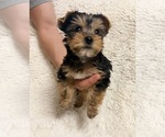 Small #3 Breeder Profile image