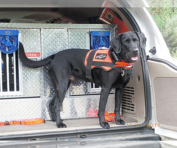 Medium Photo #1  Breeder Profile in SPRINGWATER, NY, USA