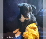 Small #7 Breeder Profile image