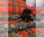 Small #10 Breeder Profile image