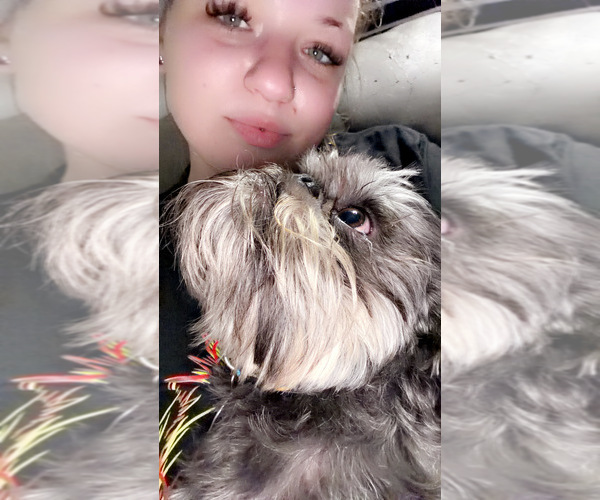 Medium Photo #6  Breeder Profile in SPRING BRANCH, TX, USA