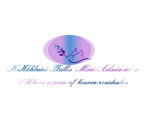 Medium Photo #1  Breeder Profile in STANLEY, KS, USA