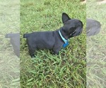 Small #5 Breeder Profile image