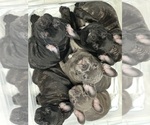 Small #14 Breeder Profile image