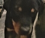 Small #3 Breeder Profile image