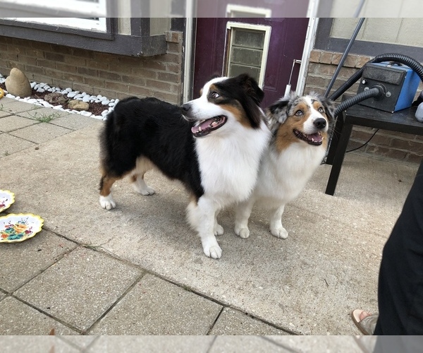 Medium Photo #1  Breeder Profile in BENTONVILLE, AR, USA